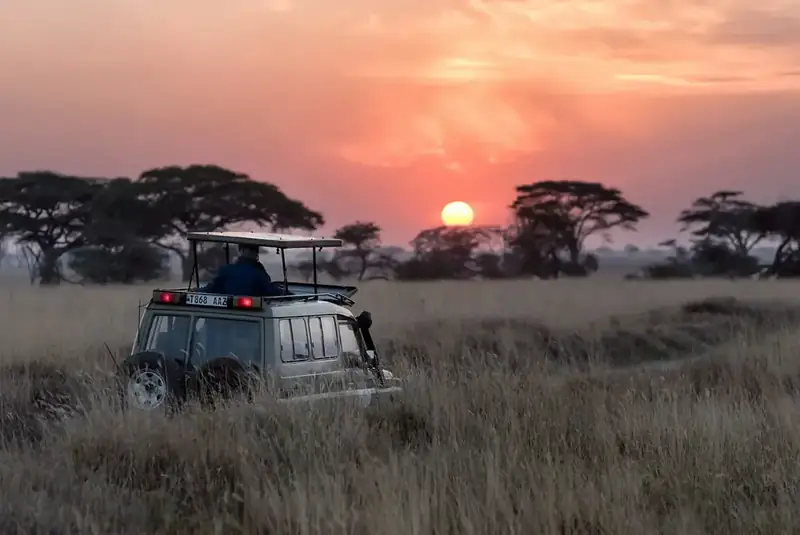 Elefantenherde mit Jungtier durchquert im Abendlicht ein flaches Wasserloch im Okavango Delta in Botswana
