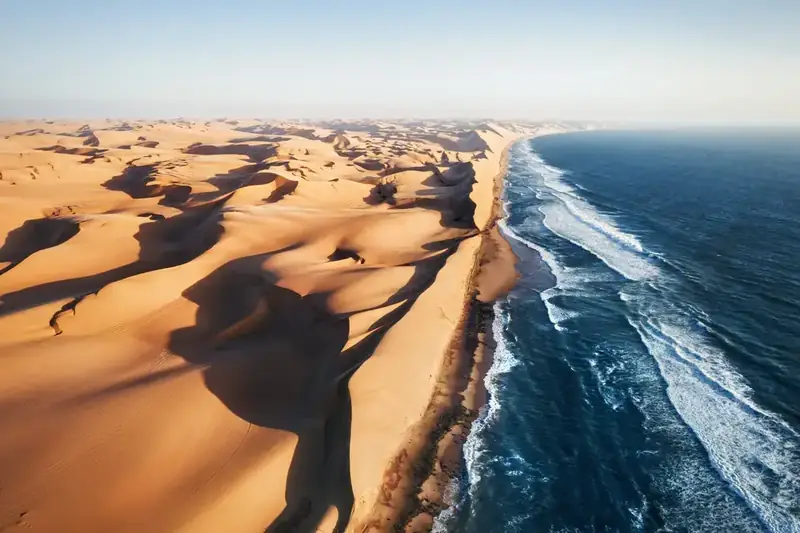 Rote Sanddünen der Namib bei Sossusvlei in Namibia mit langen Morgenschatten und einzelnen Kameldornbäumen