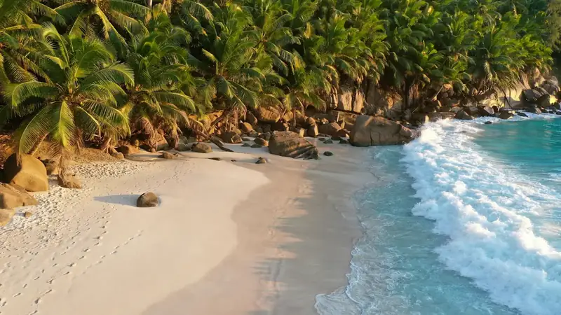 Palmen und Granitfelsen an einer weißen Sandbucht auf den Seychellen, türkisfarbene Brandung im warmen Abendlicht